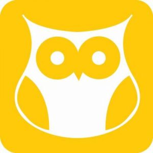 Yellow owl logo