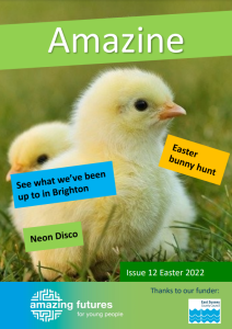 Issue 12 front cover featuring photo of two small fluffy yellow ducklings