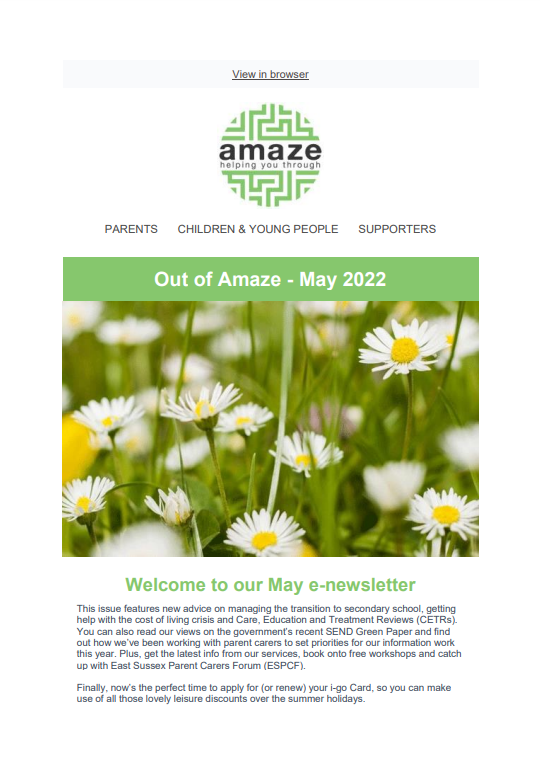 Newsletter front cover featuring photo of daisies in grass