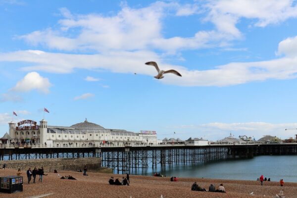 Brighton Pier on a sunny day, a seagull overhead