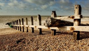 Worn wooden posts at the beach