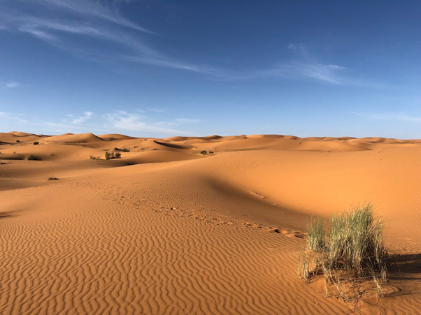 Sahara Desert Trek